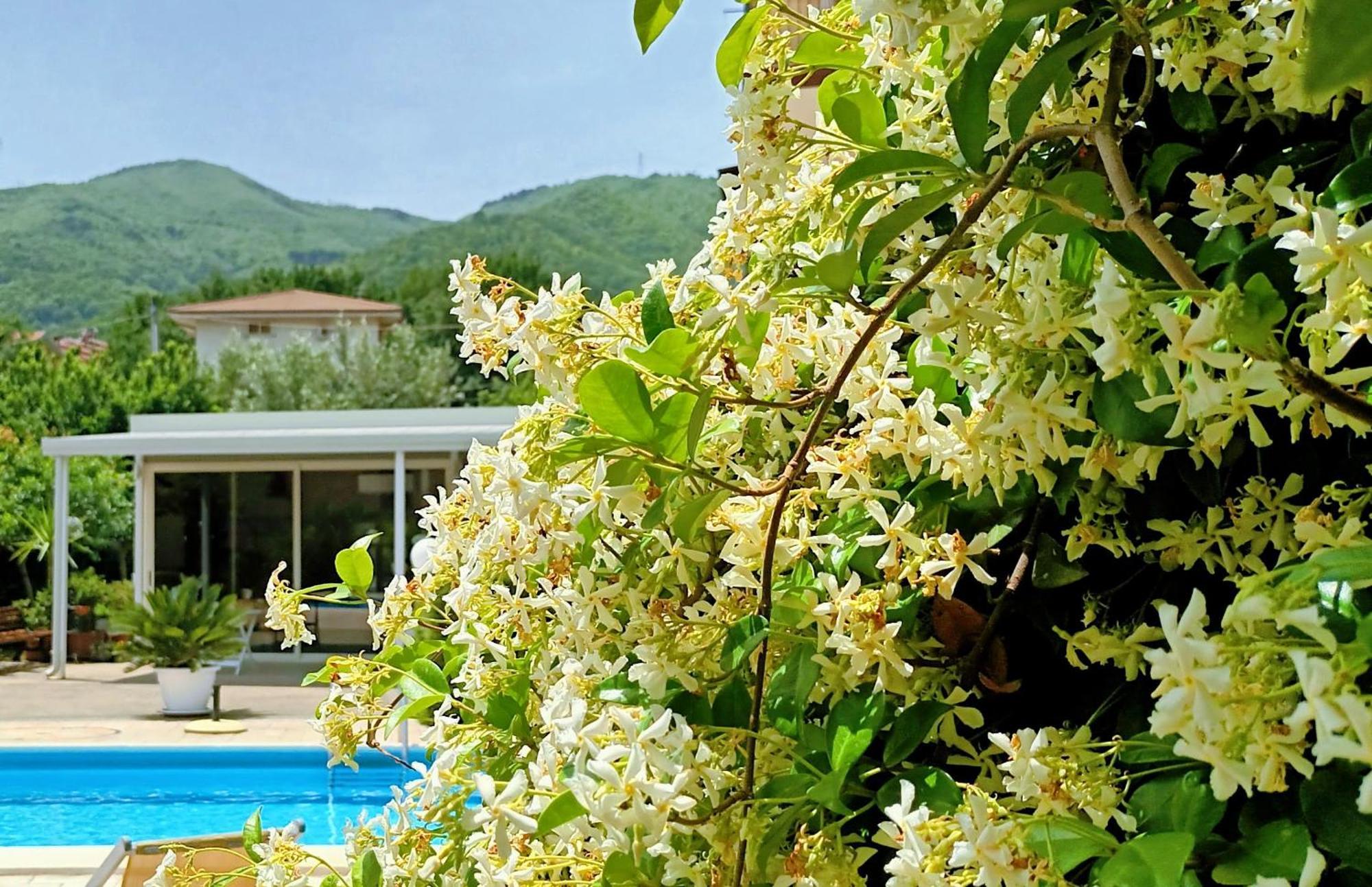 La Residenza Del Marchesato Bed & Breakfast Marano Marchesato Exterior foto